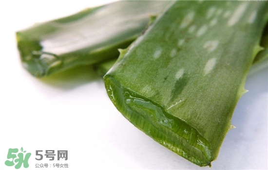 蘆薈面膜的制作方法 蘆薈和什么一起做面膜比較好 蘆薈面膜的制作方法 蘆薈和什么一起做面膜比較好