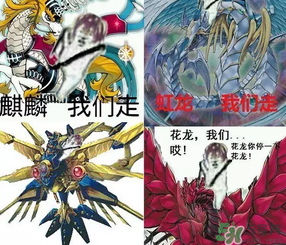 皮皮蝦為何突然火了？皮皮蝦怎么火的？