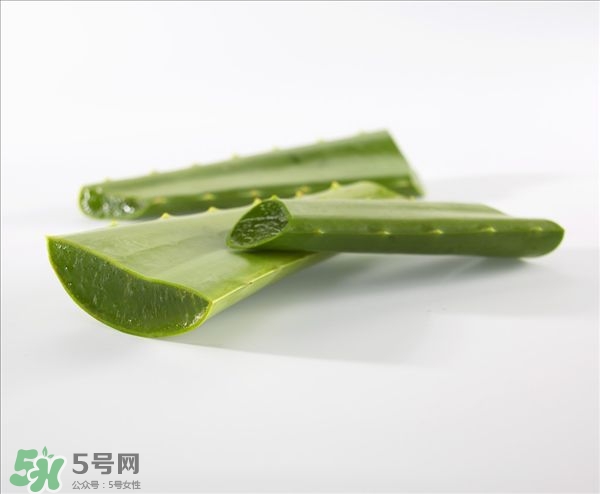 蘆薈面膜的制作方法 蘆薈和什么一起做面膜比較好 蘆薈面膜的制作方法 蘆薈和什么一起做面膜比較好