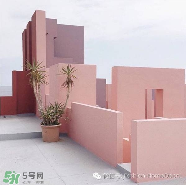 肉桂色是什么顏色？肉桂色口紅試色