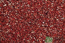 花椒可以泡水喝嗎？花椒泡水喝有什么作用？