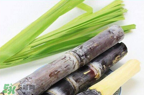 甘蔗發(fā)霉能吃嗎？吃了發(fā)霉的甘蔗怎么辦？