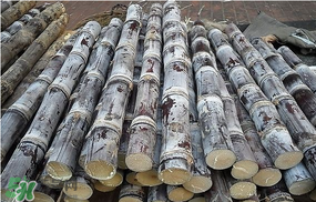 甘蔗發(fā)霉能吃嗎？吃了發(fā)霉的甘蔗怎么辦？