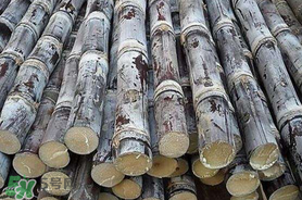 甘蔗里面發(fā)黑能吃嗎？甘蔗里面發(fā)黑是什么原因？