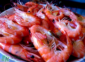 煮蝦用熱水還是冷水？白水煮蝦是冷水下鍋還是熱水下鍋好？