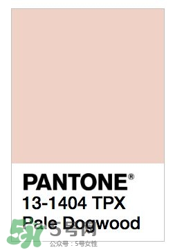 煙熏玫瑰色口紅哪個牌子好？煙熏玫瑰色口紅推薦