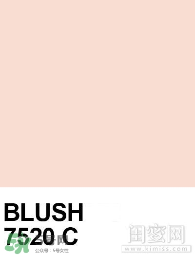 肉桂色口紅哪個(gè)牌子好？肉桂色口紅推薦