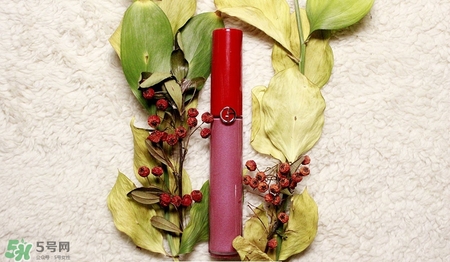 肉桂色口紅哪個(gè)牌子好？肉桂色口紅推薦