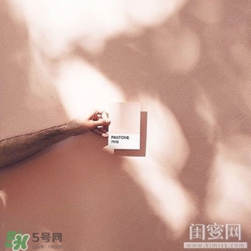 肉桂色口紅哪個(gè)牌子好？肉桂色口紅推薦