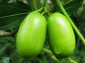 寶寶可以吃青棗嗎？寶寶可以多吃青棗嗎？