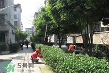 倒春寒如何養(yǎng)生？倒春寒養(yǎng)生需注意五點