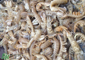 活的皮皮蝦怎么保存？活的皮皮蝦怎么保鮮？