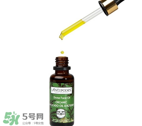 antipodes是什么牌子?antipodes是哪個國家的? antipodes是什么牌子?antipodes是哪個國家的?