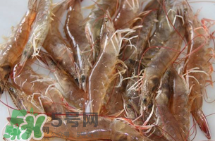 活基圍蝦怎么保存？活基圍蝦怎么處理干凈？
