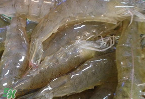 活蝦灌膠水是真的嗎？活蝦灌膠水人吃了會(huì)有什么害處？