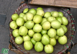 寶寶可以吃青棗嗎？寶寶可以多吃青棗嗎？