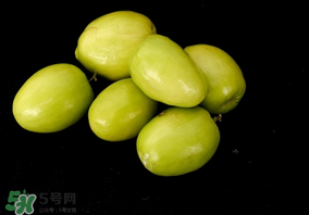 吃青棗可以減肥嗎？減肥可以吃青棗嗎？