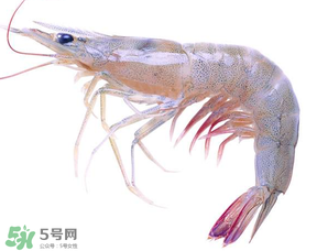 蝦變綠了能吃嗎？凍蝦變綠了能吃嗎？