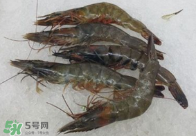 青蝦變黑了還能吃嗎？青蝦為什么變黑？