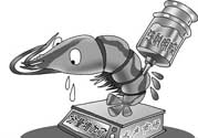 活蝦灌膠水是真的嗎？活蝦灌膠水人吃了會有什么害處？