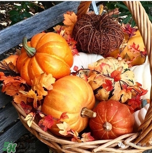 豆沙色和南瓜色的區(qū)別 豆沙色和南瓜色哪個好看？