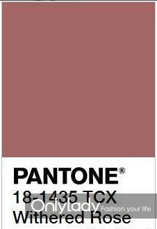 干玫瑰色適合什么膚色？干玫瑰色口紅適合黃皮嗎？