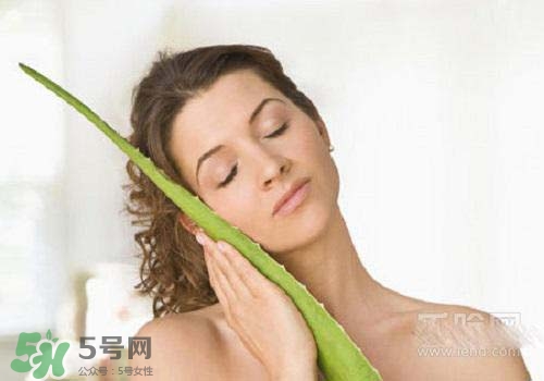 蘆薈涂在臉上發(fā)癢是怎么回事？蘆薈涂在臉上發(fā)癢怎么辦？