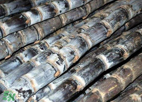 甘蔗有點(diǎn)酸味還能吃嗎？甘蔗吃起來為什有酸味？