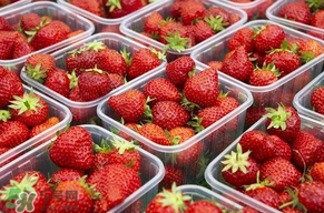 草莓爛了點皮可以吃嗎？草莓表皮發(fā)白是爛了嗎？