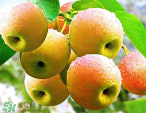 南國梨為什么有酒味？南果梨有酒味能吃嗎？