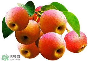 南國梨為什么有酒味？南果梨有酒味能吃嗎？