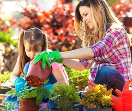 3月份適合種什么花？3月份種什么花？