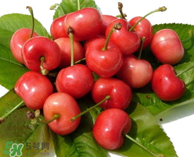 櫻桃用鹽水泡多久？櫻桃為什么要用鹽水泡？