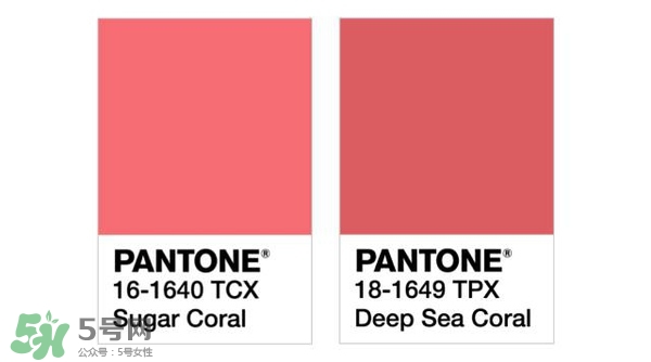珊瑚紅口紅是什么顏色？珊瑚紅口紅試色