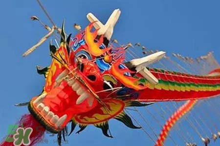 龍?zhí)ь^有哪些講究？龍?zhí)ь^需要注意的禁忌