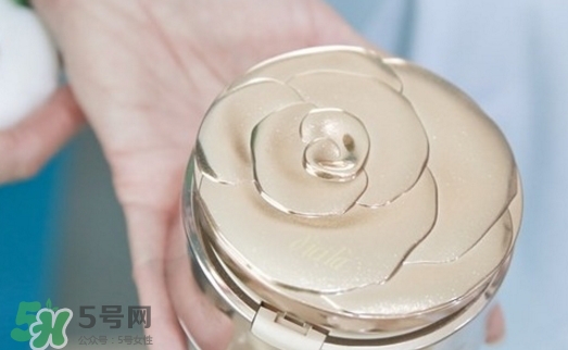 dicila蒂思嵐玫瑰蜜粉散粉怎么樣？dicila玫瑰蜜粉散粉好用嗎？