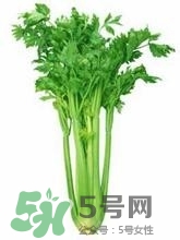 負(fù)卡路里的食物有哪些？負(fù)卡路里食物真的吃不胖嗎？