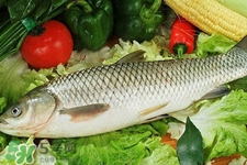 草魚能生吃嗎？草魚可以直接生吃嗎？