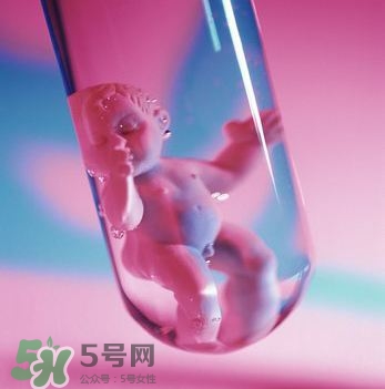 試管嬰兒性別能確定嗎 試管嬰兒可以選擇性別嗎 試管嬰兒性別能確定嗎 試管嬰兒可以選擇性別嗎