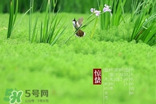 驚蟄吃什么蔬菜好？驚蟄節(jié)氣養(yǎng)生吃什么蔬菜？
