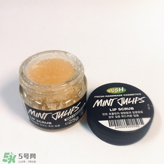 lush唇部磨砂膏怎么用？lush唇部磨砂膏使用方法