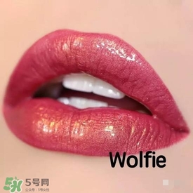 啞光和水潤(rùn)哪個(gè)好？啞光口紅和水潤(rùn)口紅區(qū)別