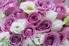 4月份適合種什么花？四月份種什么花好？