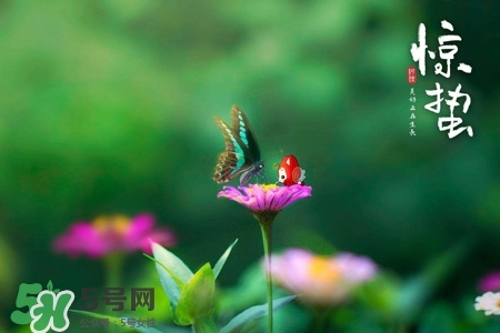 驚蟄如何養(yǎng)生？驚蟄前后如何養(yǎng)生？