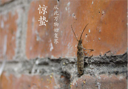 驚蟄可以去掃墓嗎？驚蟄可以去上墳嗎？