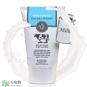 好用的洗面奶 好用的洗面奶推薦