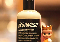 lush護發(fā)素哪個好？lush護發(fā)素推薦