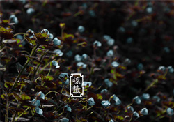 驚蟄節(jié)氣要注意什么？驚蟄節(jié)氣養(yǎng)生注意事項