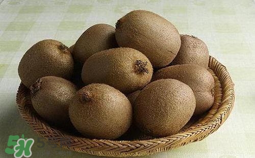 獼猴桃可以做面膜嗎？獼猴桃怎么做面膜？