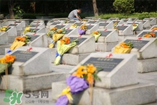 3月份可以掃墓嗎？三月份可以上墳嗎？